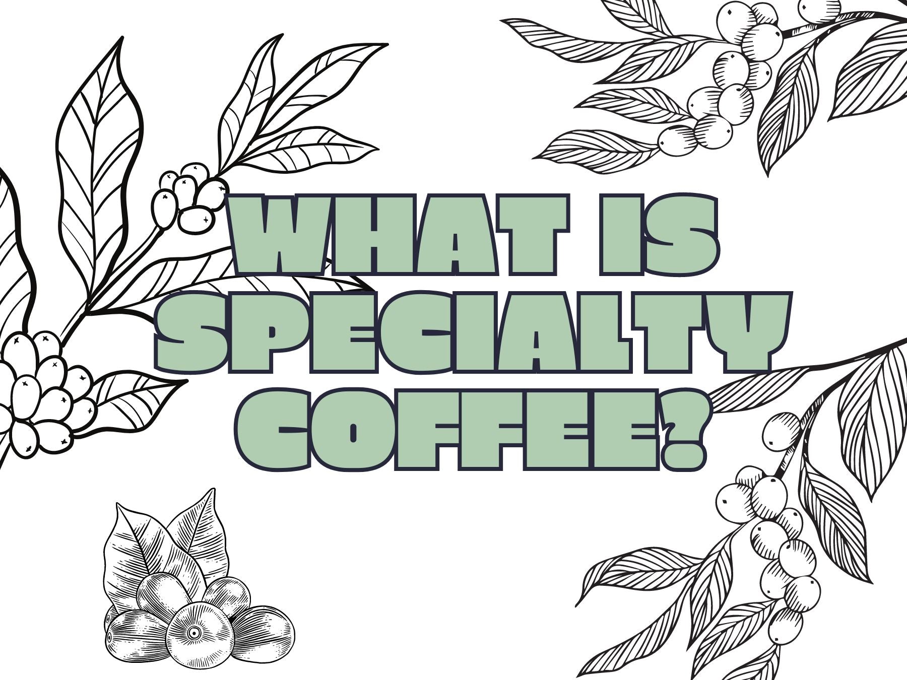 What Is Specialty Coffee? Curiosity Coffee