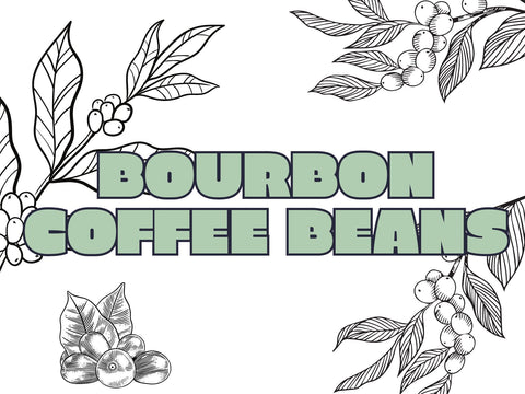 Bourbon Coffee Beans: A Complete Guide to Coffee Varieties