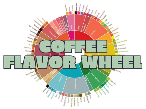 Coffee Flavor Wheel: Describe The Flavor Of Coffee Like A Pro