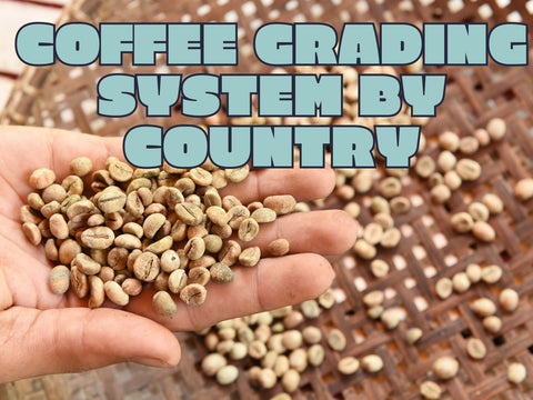Coffee Grading System: The Grades of Coffee by Country