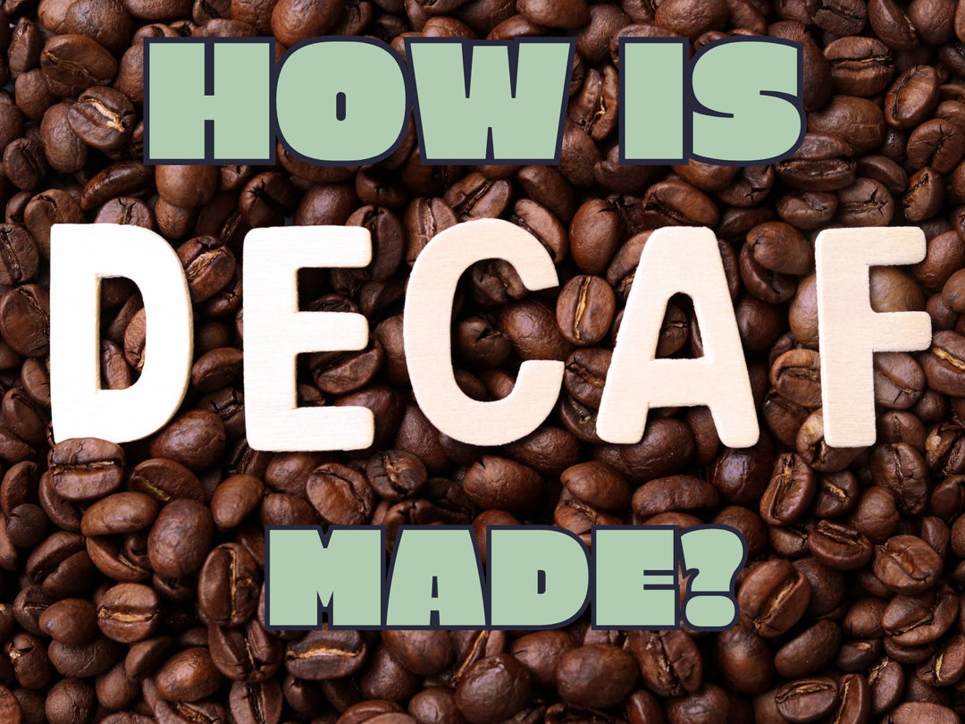 How Is Decaf Coffee Made? The Intriguing Journey of Making Decaf Coffe Curiosity Coffee