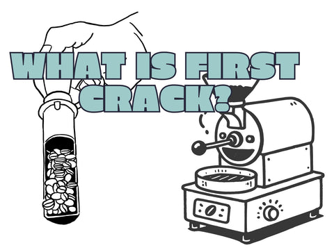 What Is First Crack? Coffee Roasting Basics Essential Guide