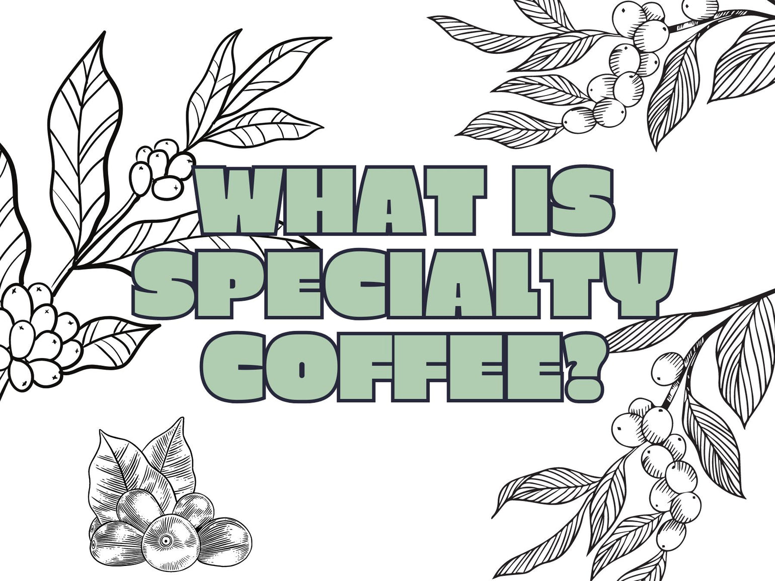 What Is Specialty Coffee? – Curiosity Coffee