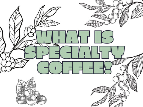 What Is Specialty Coffee?