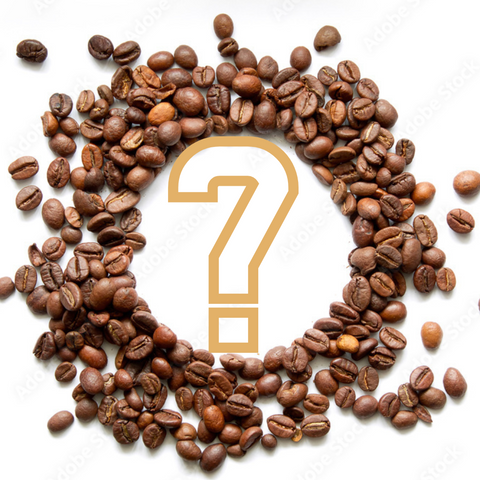 Coffee Bean Guide