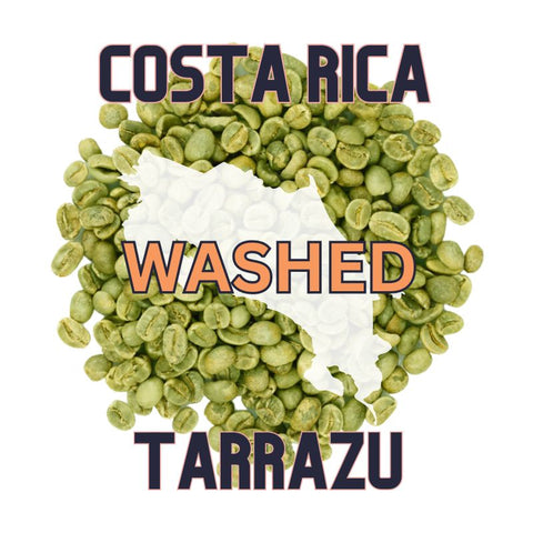 Costa Rica Green Coffee | Tarrazu